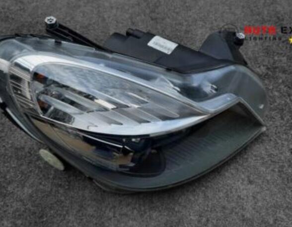 Headlights MERCEDES-BENZ /8 (W114) A2308203859