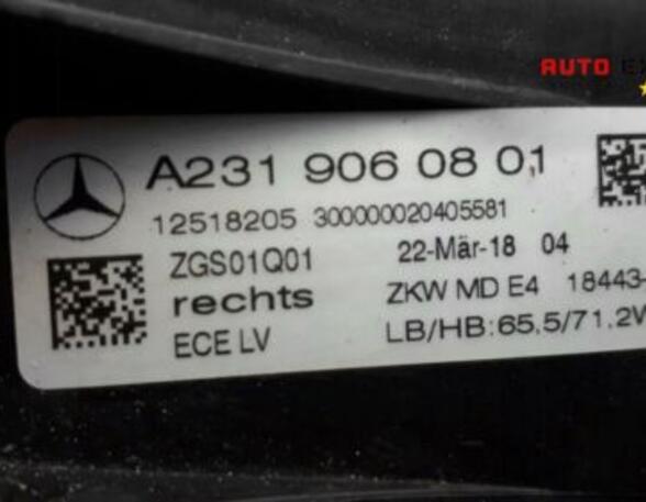 Headlights MERCEDES-BENZ /8 (W114) A2319060801 