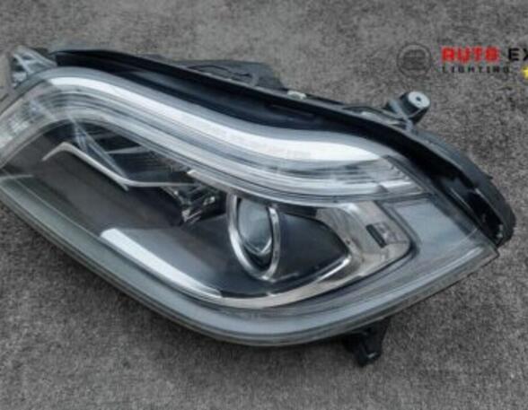 Headlights MERCEDES-BENZ /8 (W114) A1668207961