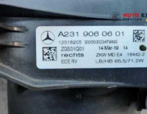 Headlights MERCEDES-BENZ /8 (W114) A2319060601 