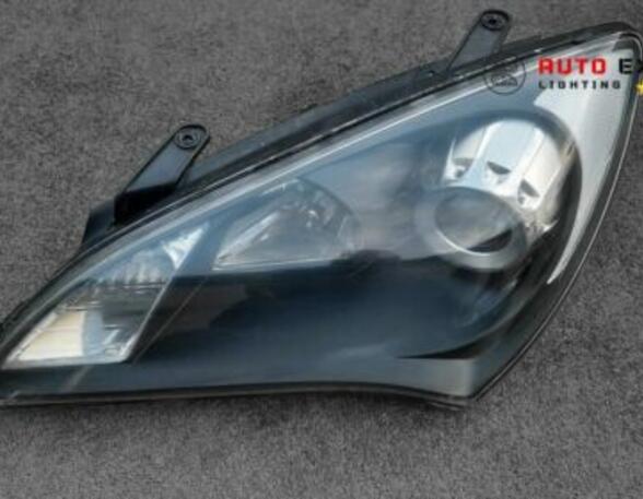 Headlights VW 1500,1600 (31) 3C8941751C 