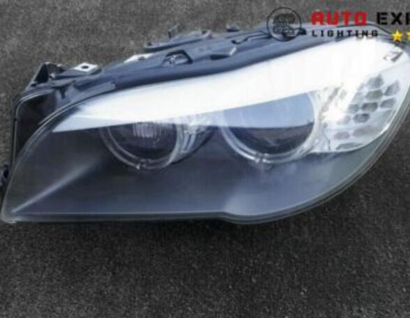 Headlights BMW 1 (E81) 1ZS01013141 