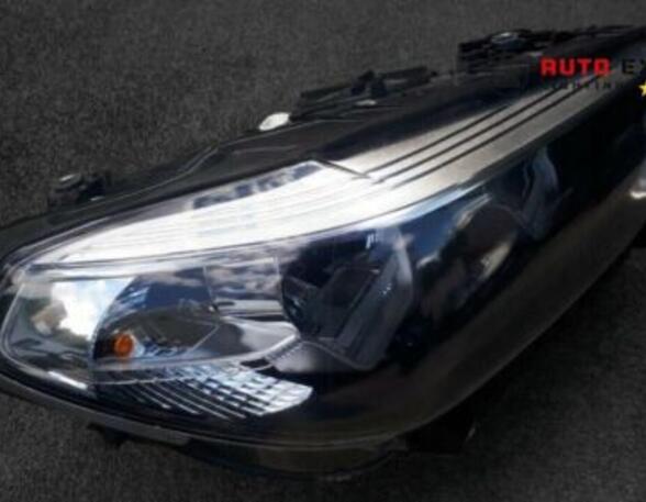 Headlights  8496812