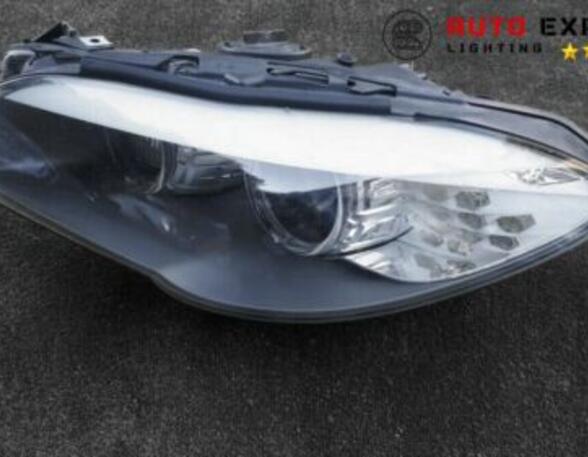 Headlights BMW 1 (E81) 1ZS01013141 