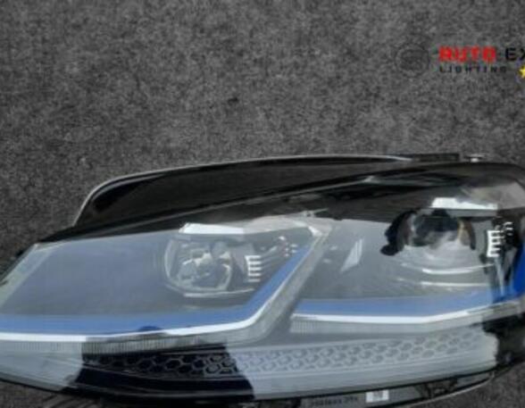 Headlights VW 1500,1600 (31) 5G1941059B 