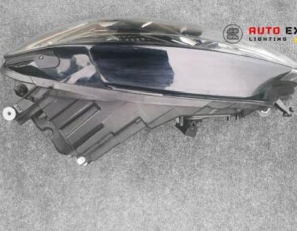 Headlights VW 1500,1600 (31) 5G1941081 