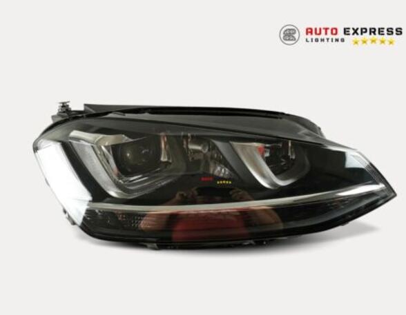 Headlights VW 1500,1600 (31) 5G1941752