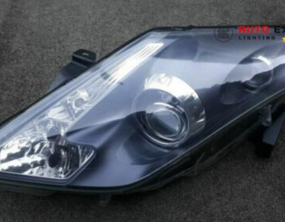 Headlights RENAULT 10 (119) 8993645 