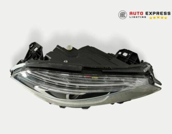 Headlights MERCEDES-BENZ /8 (W114) A1768201161