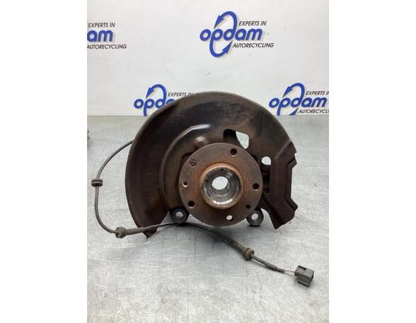 Stub Axle RENAULT KADJAR (HA_, HL_)