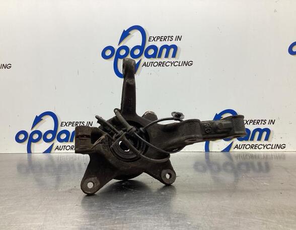 Stub Axle RENAULT KANGOO / GRAND KANGOO (KW0/1_), RENAULT KANGOO Express (FW0/1_)