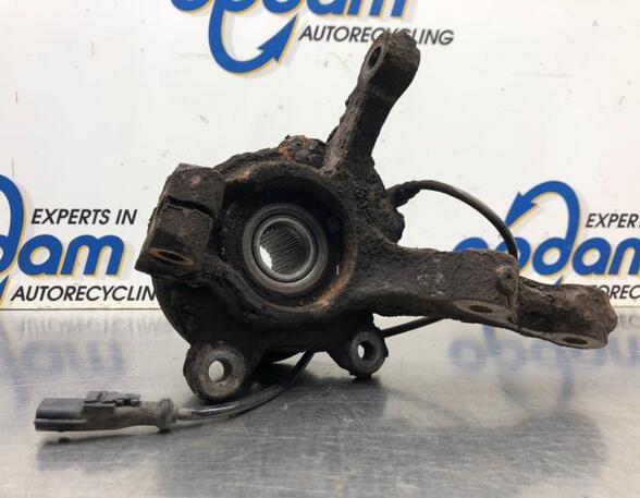 Stub Axle RENAULT TWINGO II (CN0_)