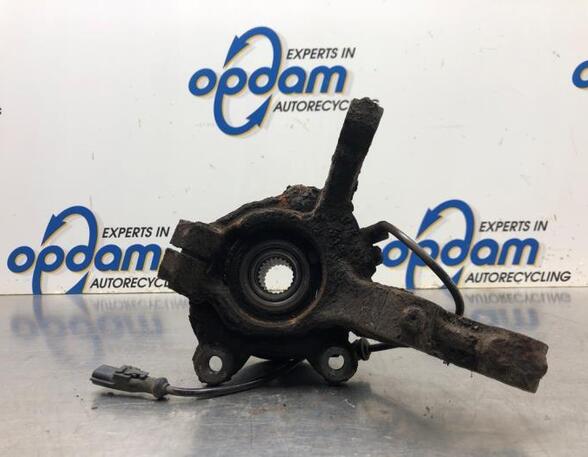 Stub Axle RENAULT TWINGO II (CN0_)