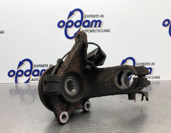 Stub Axle PEUGEOT 206+ (2L_, 2M_)