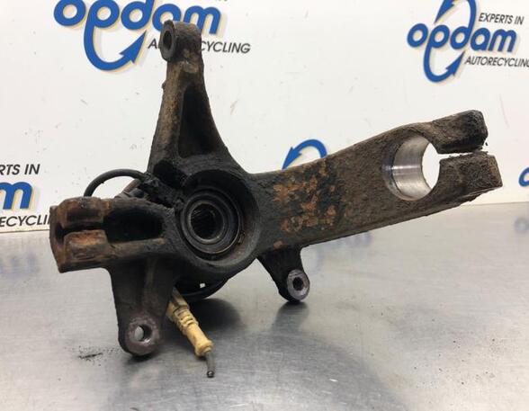 Stub Axle RENAULT MEGANE II (BM0/1_, CM0/1_), RENAULT MEGANE II Saloon (LM0/1_)