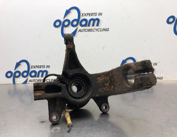 Stub Axle RENAULT MEGANE II (BM0/1_, CM0/1_), RENAULT MEGANE II Saloon (LM0/1_)