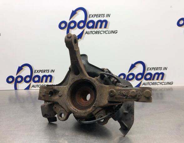 Stub Axle FIAT PUNTO (199_), FIAT PUNTO EVO (199_), FIAT GRANDE PUNTO (199_)