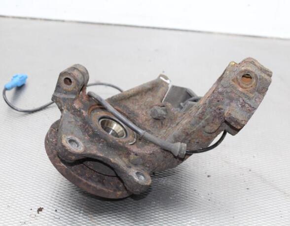 Stub Axle PEUGEOT 206+ (2L_, 2M_)