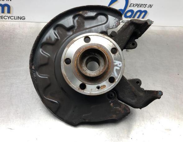 Stub Axle SEAT IBIZA IV (6J5, 6P1), SEAT IBIZA IV SC (6J1, 6P5), SEAT IBIZA IV ST (6J8, 6P8)