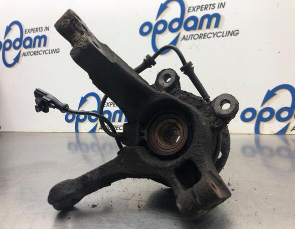 Stub Axle DACIA LOGAN (LS_), DACIA LOGAN II, RENAULT LOGAN I (LS_), DACIA LOGAN MCV (KS_)