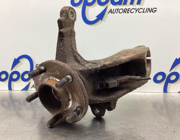 Stub Axle FORD FOCUS II (DA_, HCP, DP)