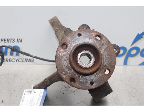 Stub Axle DACIA SANDERO, DACIA DUSTER (HS_), DACIA LOGAN (LS_), DACIA LOGAN EXPRESS (FS_)