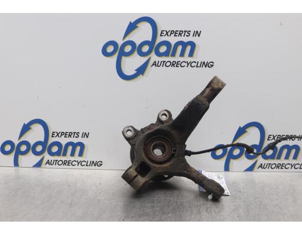 Stub Axle DACIA SANDERO, DACIA DUSTER (HS_), DACIA LOGAN (LS_), DACIA LOGAN EXPRESS (FS_)