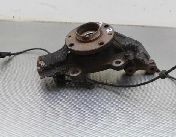 Stub Axle FIAT BRAVO II (198_)