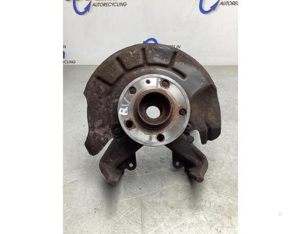 Stub Axle SKODA ROOMSTER (5J7), SKODA ROOMSTER Praktik (5J), SKODA FABIA II Combi (545)