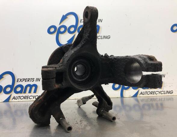 Stub Axle FORD FOCUS Turnier (DNW)