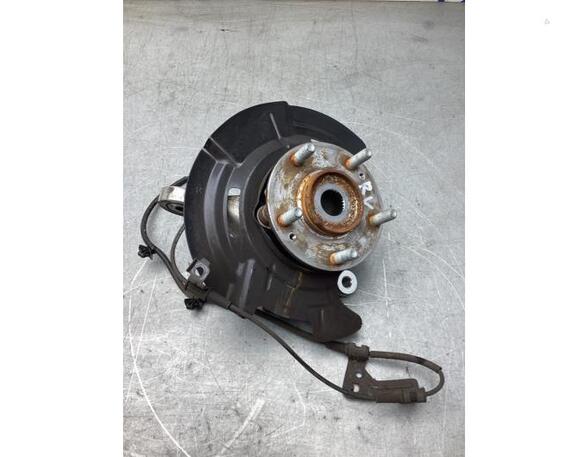 Stub Axle KIA NIRO I (DE)