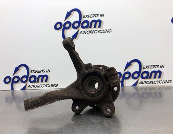 Stub Axle RENAULT TWINGO I (C06_)