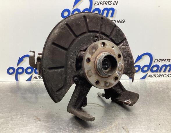 Stub Axle SKODA OCTAVIA II (1Z3)