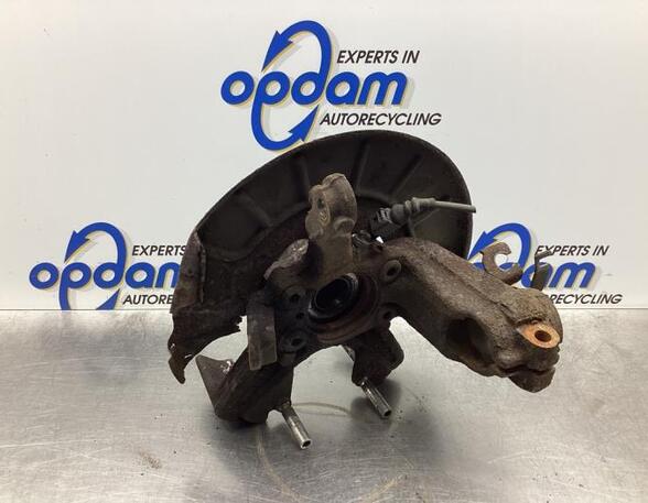 Stub Axle SKODA OCTAVIA II (1Z3)