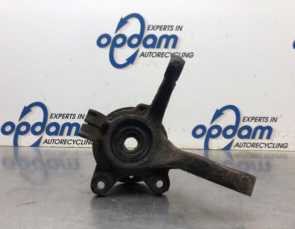 Stub Axle RENAULT TWINGO I (C06_)