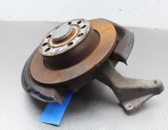 Stub Axle SKODA YETI (5L)