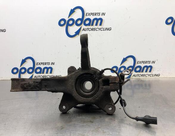 Stub Axle RENAULT KANGOO Express (FW0/1_), RENAULT KANGOO / GRAND KANGOO (KW0/1_)