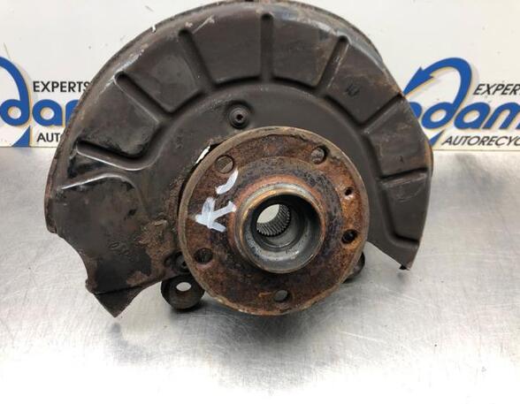 Stub Axle VW GOLF V (1K1), VW GOLF VI (5K1), VW TIGUAN (5N_), VW TIGUAN VAN (5N_)