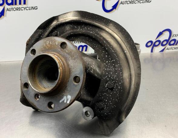 Stub Axle BMW 1 (F20)