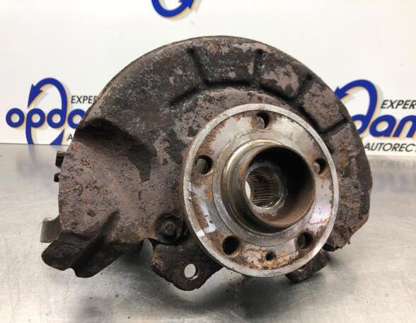 Stub Axle SKODA ROOMSTER (5J7), SKODA ROOMSTER Praktik (5J), SKODA FABIA II Combi (545)