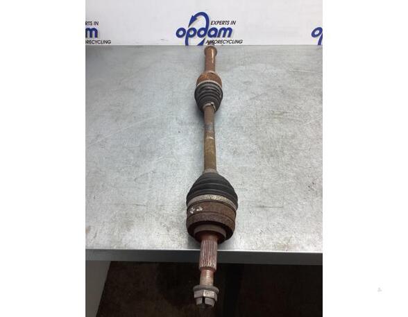 Drive Shaft RENAULT GRAND SCÉNIC III (JZ0/1_), RENAULT SCÉNIC III (JZ0/1_)