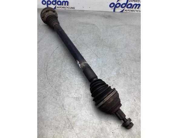 Drive Shaft VW GOLF V (1K1), VW GOLF VI (5K1), VW PASSAT (3C2), VW GOLF PLUS (5M1, 521)