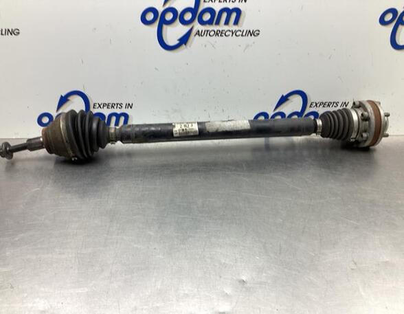 Drive Shaft VW GOLF V (1K1), VW GOLF VI (5K1), VW GOLF VI Van (5K1_), VW GOLF PLUS (5M1, 521)