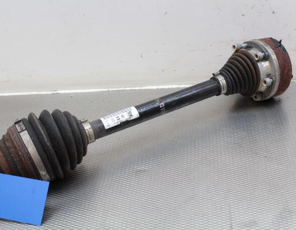 Drive Shaft SKODA OCTAVIA II Combi (1Z5)