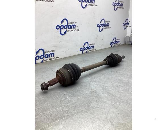 Drive Shaft OPEL MOVANO B Bus (X62), OPEL MOVANO B Van (X62)