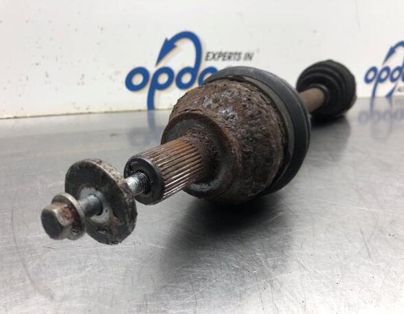 Drive Shaft FORD FOCUS II (DA_, HCP, DP)