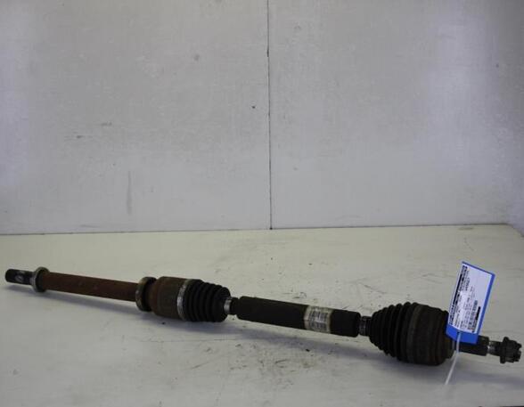 Drive Shaft RENAULT LAGUNA II (BG0/1_)