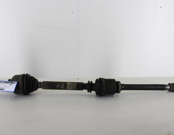 Drive Shaft RENAULT LAGUNA II (BG0/1_)