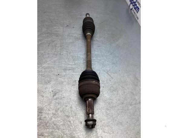 Drive Shaft RENAULT CLIO III Grandtour (KR0/1_)