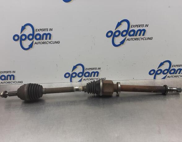 Drive Shaft RENAULT CLIO III (BR0/1, CR0/1), RENAULT CLIO II (BB_, CB_)